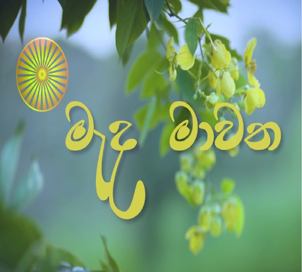 කෙටි ධර්ම දේශනාව – ආර්ය අෂ්ටාංගික මාර්ගයට අනුගතව සක්මන් භාවනාව වඩා ගැනීම